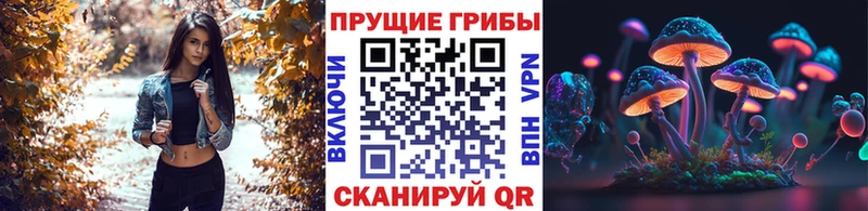 Псилоцибиновые грибы Cubensis MEGA ТОР Благовещенск